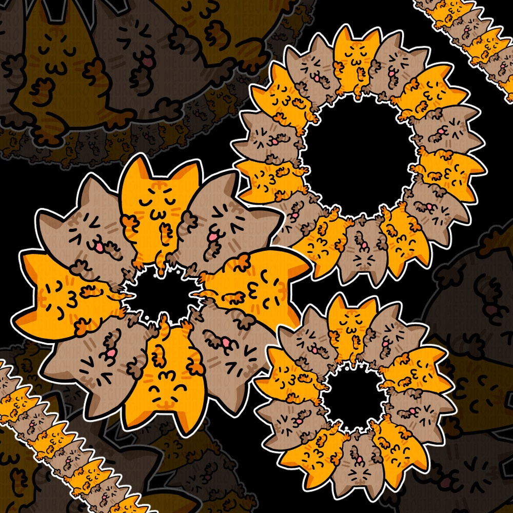 ユルい猫の画像