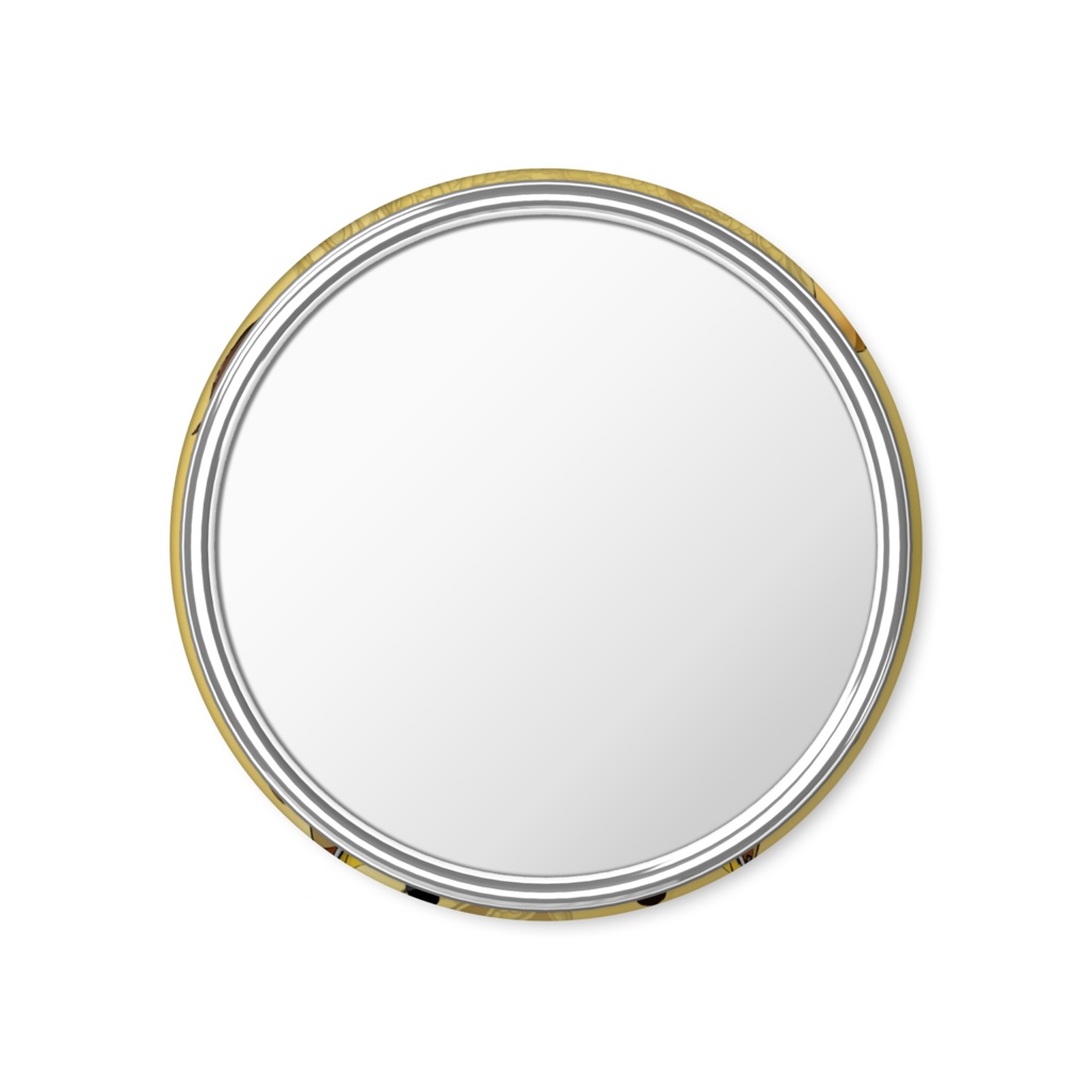 【缶ミラー鏡】龍 鍾離と手乗りタルタリヤ 原神 genshin