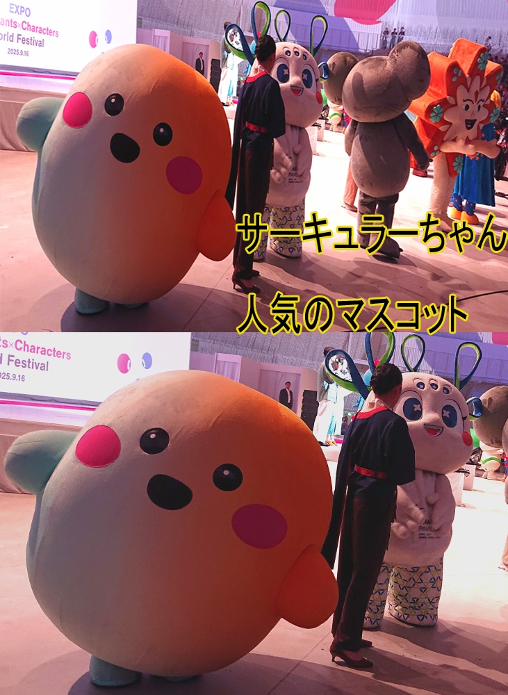 【大阪関西万博2025】 予約全コンプリート攻略ガイド&万博旅行一日スケジュール日記 EXPO2025: 女一人のんびりルーズ旅 10ノンフィクション 旅行記 非公式 同人