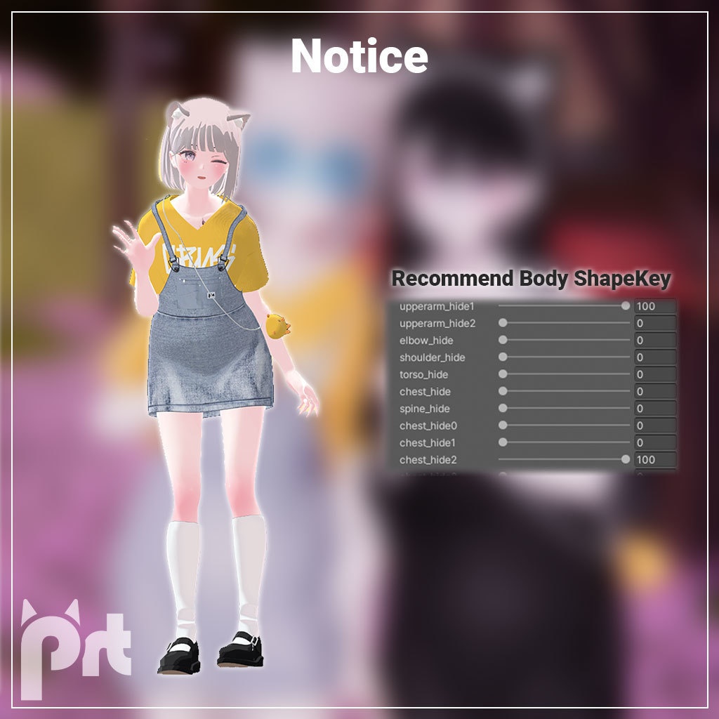 Denim Skirt for Grus