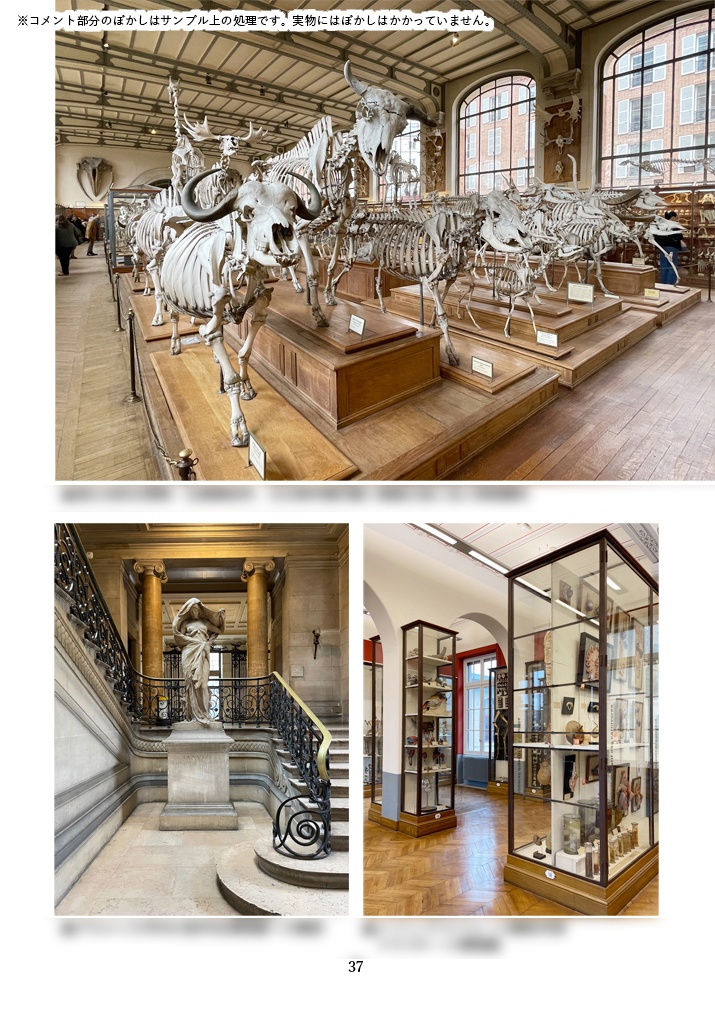 旅のスケッチ帳 2024.02. France Paris