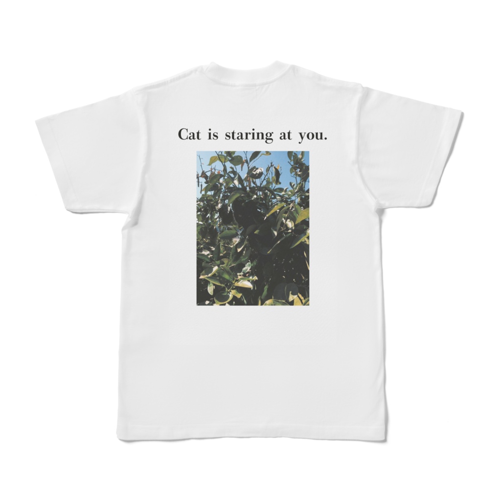 Cat is staring at you プリントTシャツ