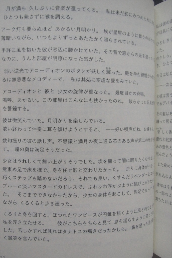 小説『自由への追憶』