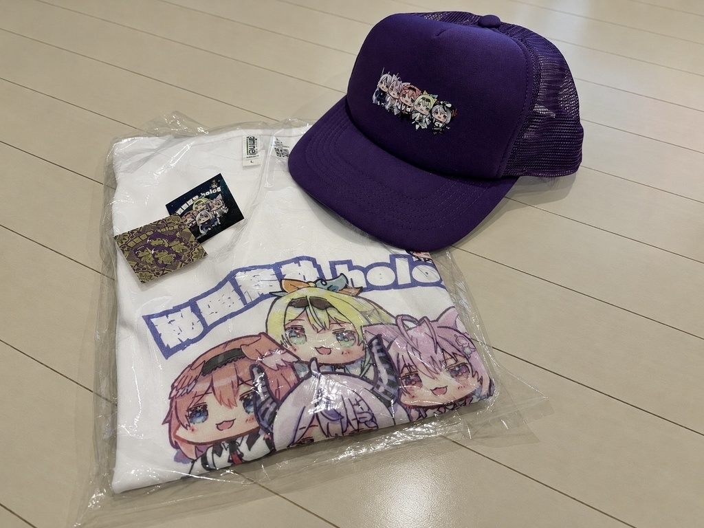 【一点のみ】holoXキャップとTシャツ、シール2枚セット