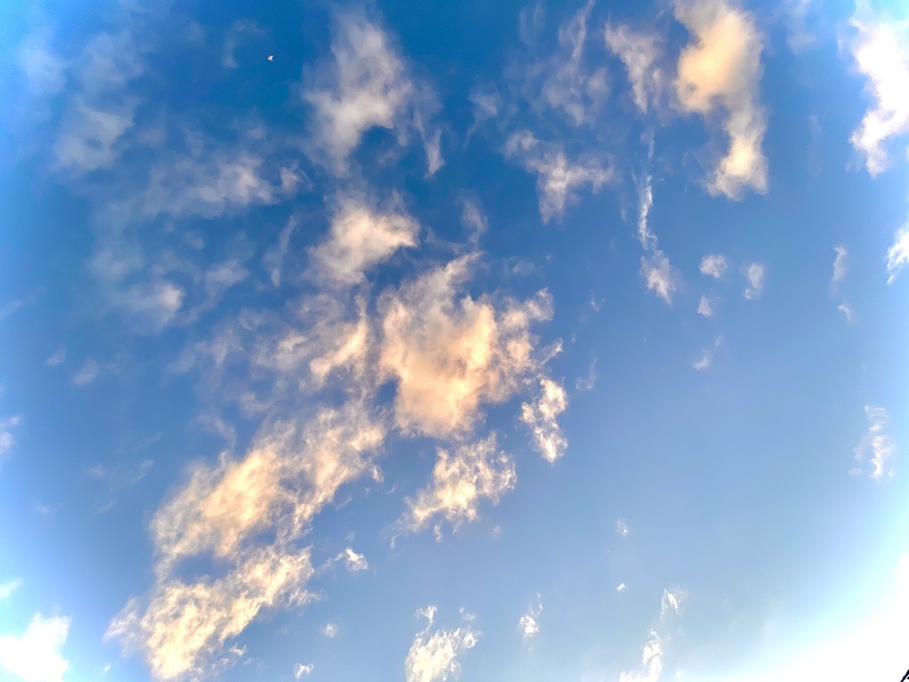 トートバッグ~空①~