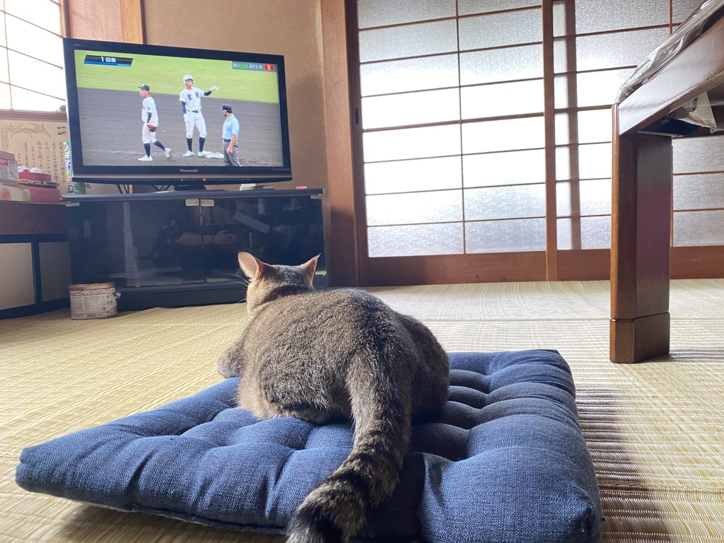 トートバッグ《てれびねこ》