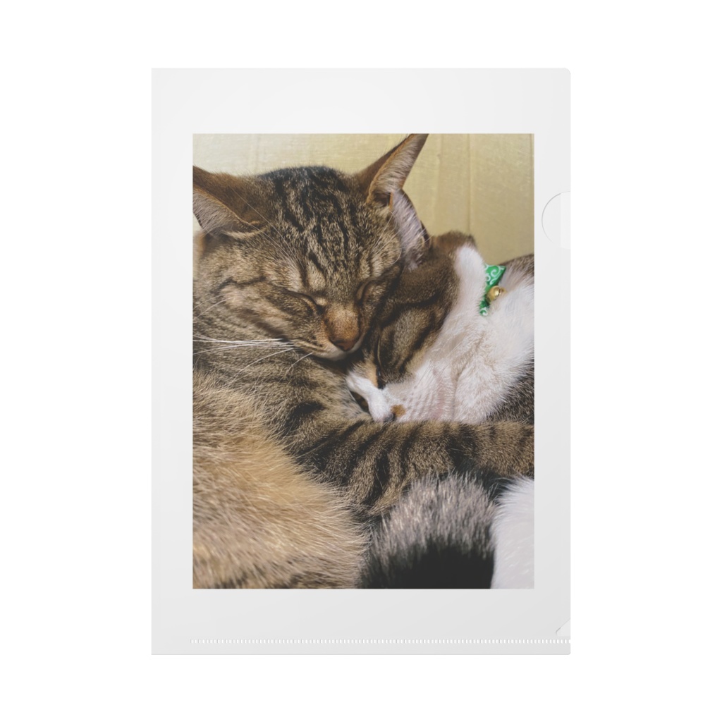 クリアファイル《ねこ》(for HARUKA)
