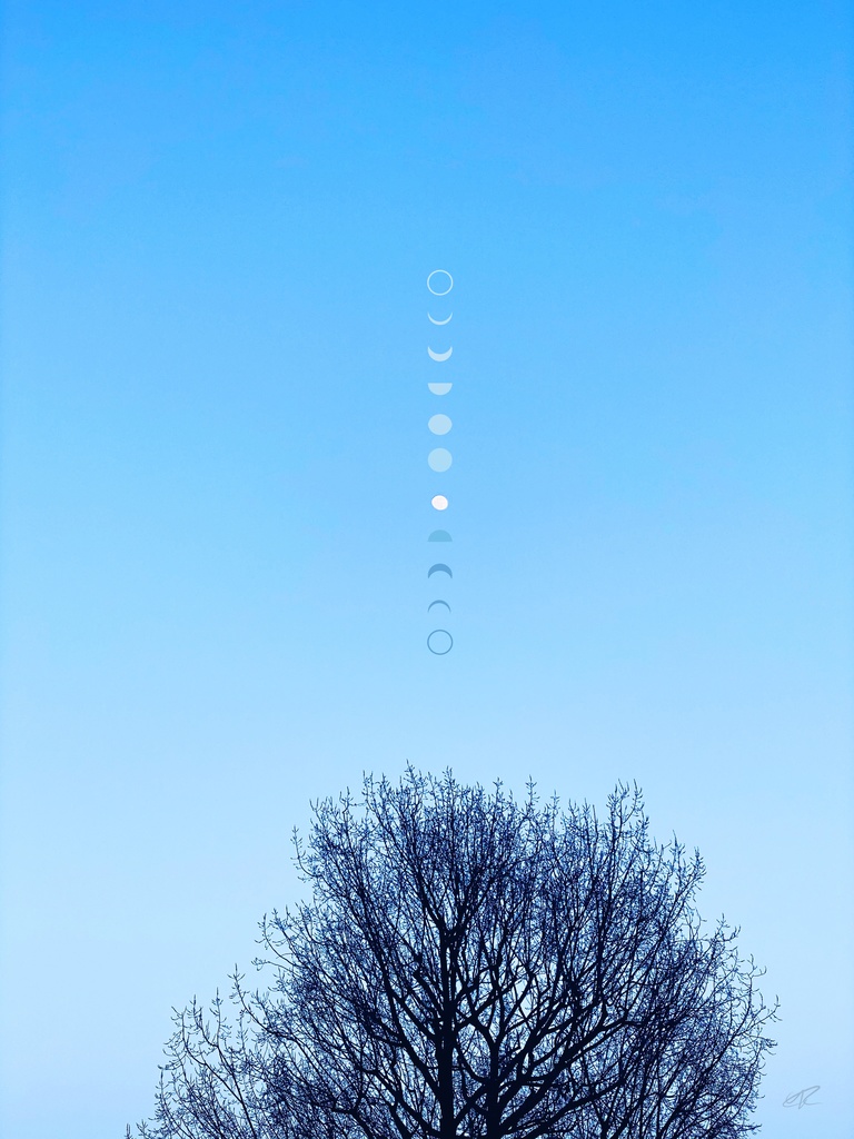 Tree & Moons