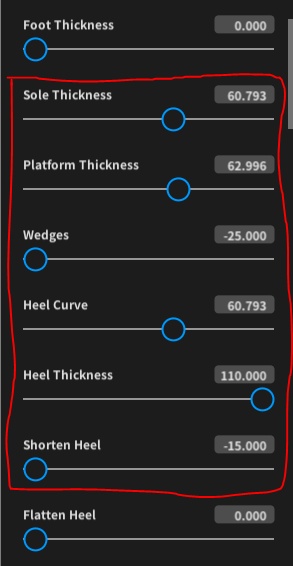 Gothic Punk rock shoes