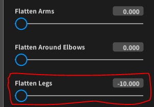 Gothic Punk rock shoes