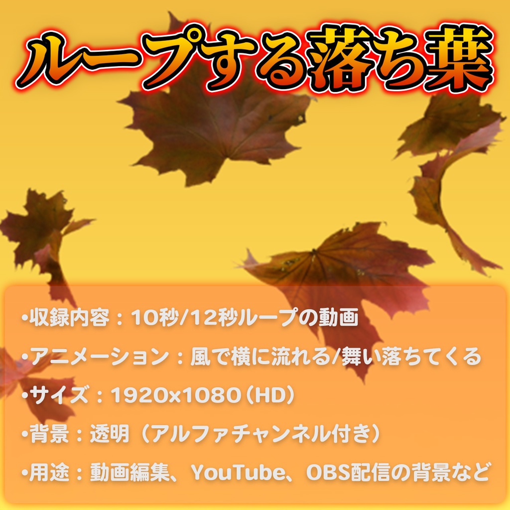紅葉が舞うループ動画素材2種 | 透明背景・HD画質(10秒&12秒収録)