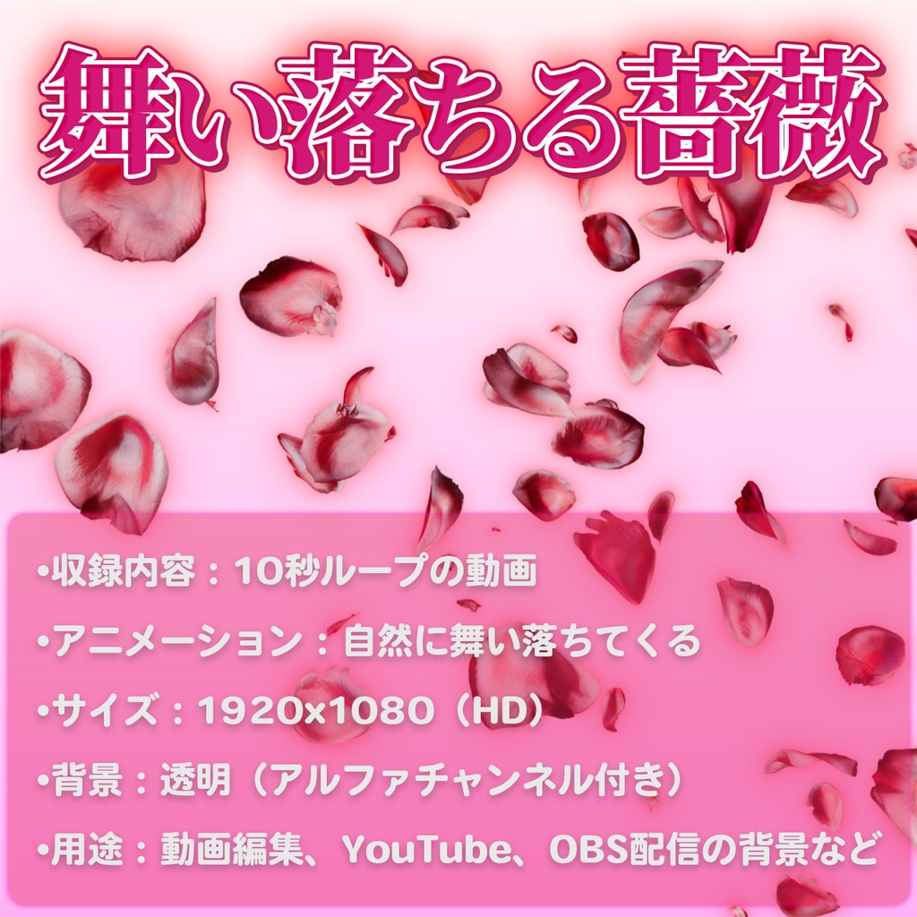 赤い薔薇の花びらアニメーション | ループ対応・透明背景(10秒)