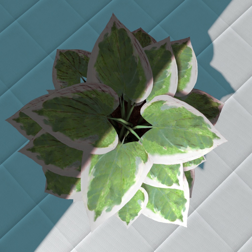 【3Dモデル/無料】斑入り観葉植物(ホスタ系)