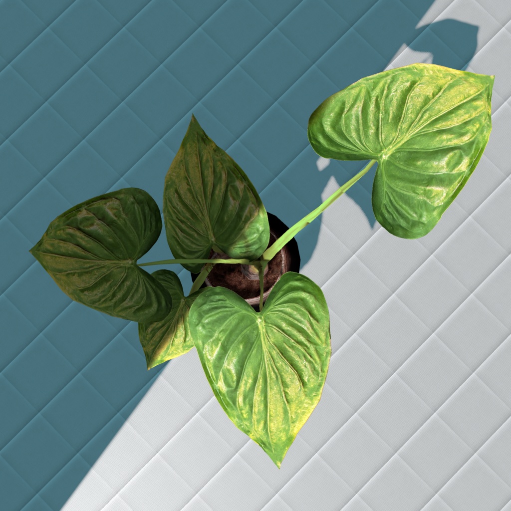 【3Dモデル/無料】アロカシア系 観葉植物(クワズイモ風)