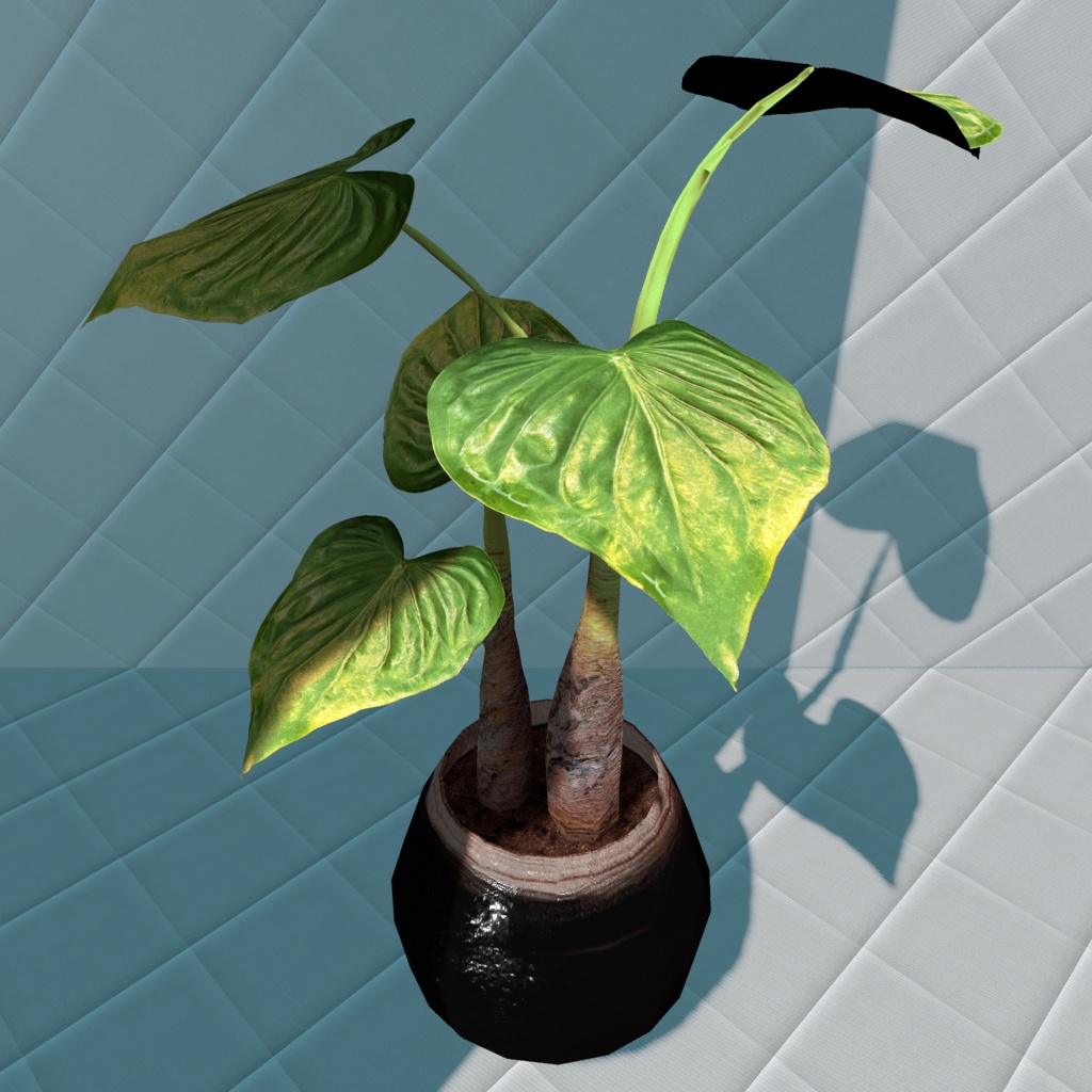 【3Dモデル/無料】アロカシア系 観葉植物（クワズイモ風）