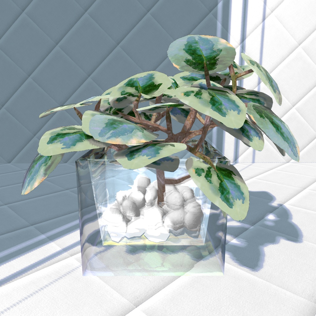 【3Dモデル/無料】ペペロミア風 観葉植物