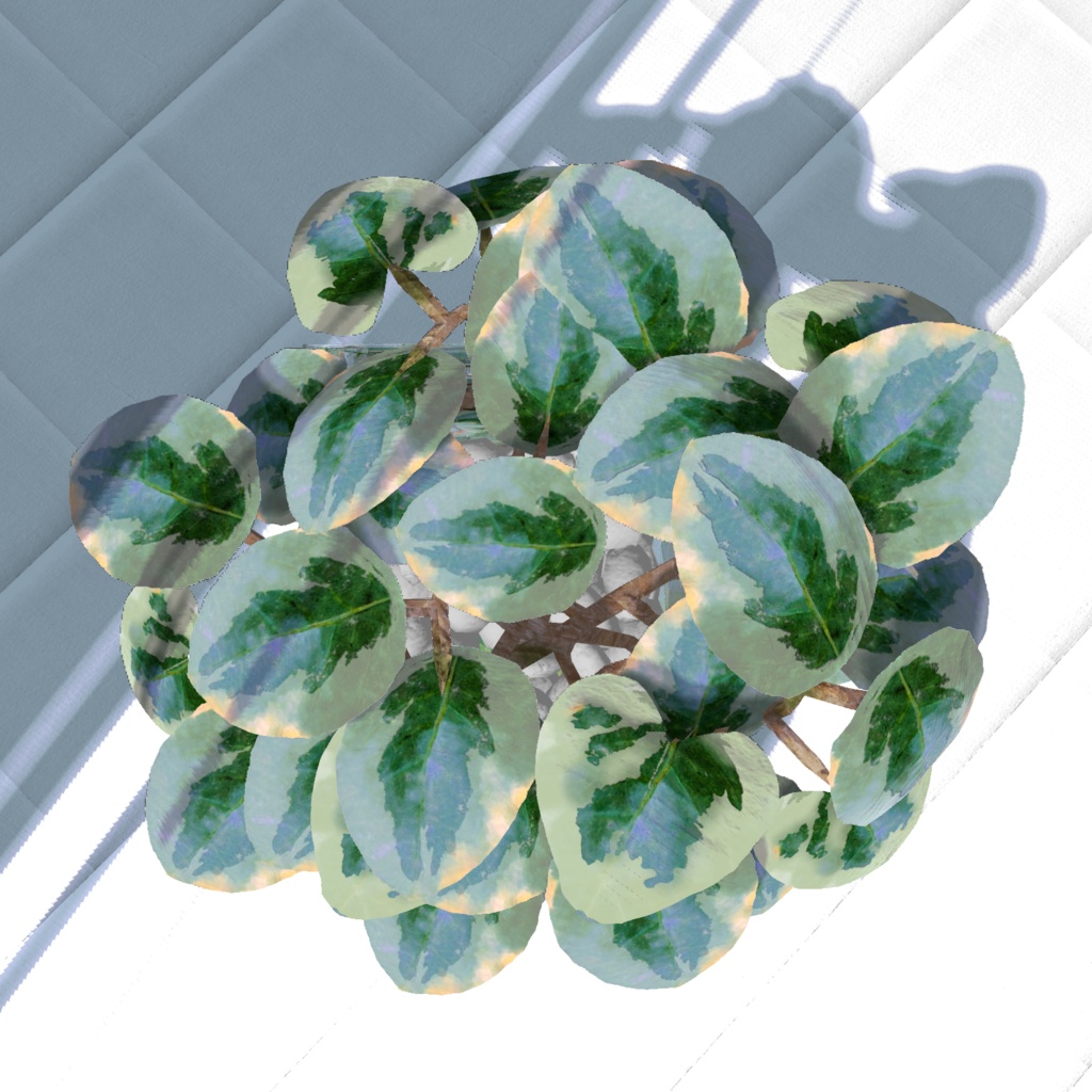 【3Dモデル/無料】ペペロミア風 観葉植物