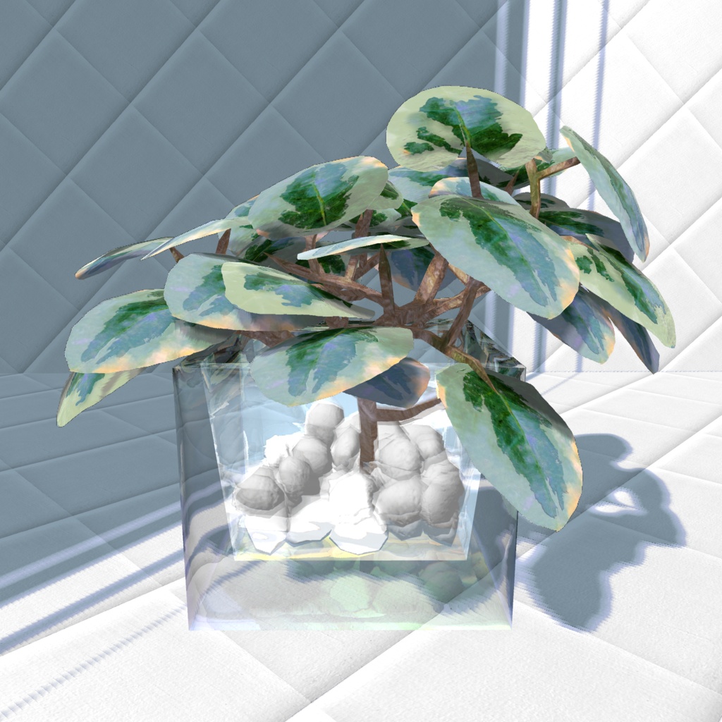 【3Dモデル/無料】ペペロミア風 観葉植物