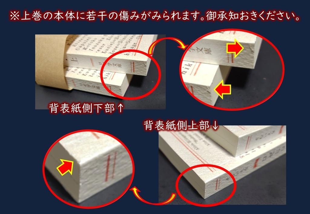 ロゼヒロイン学園 25人の女神たち・上下巻セット