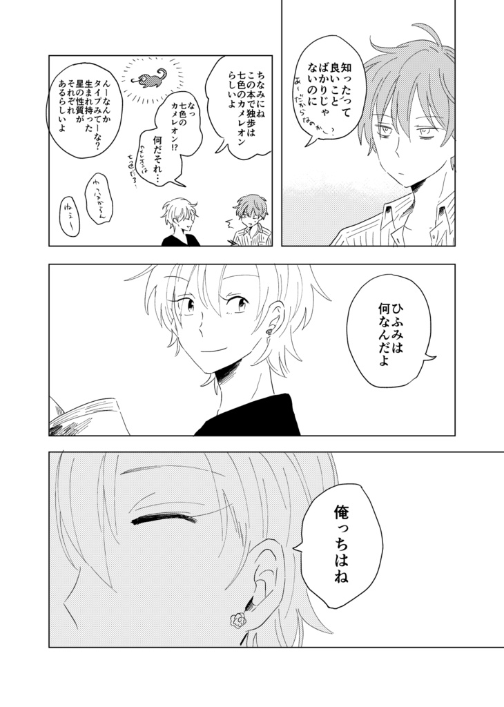 Fragment of the star