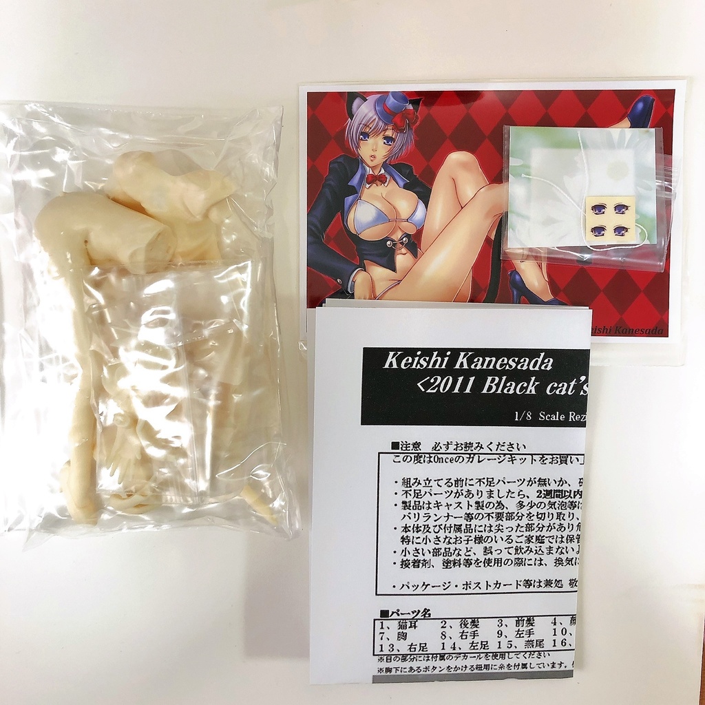 兼処敬士オリジナル 猫<2011 Black cat's>