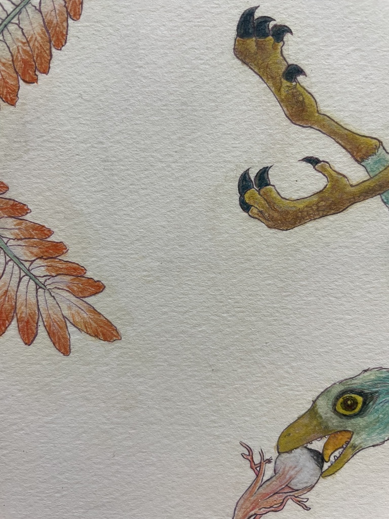 【原画】始祖鳥の好物