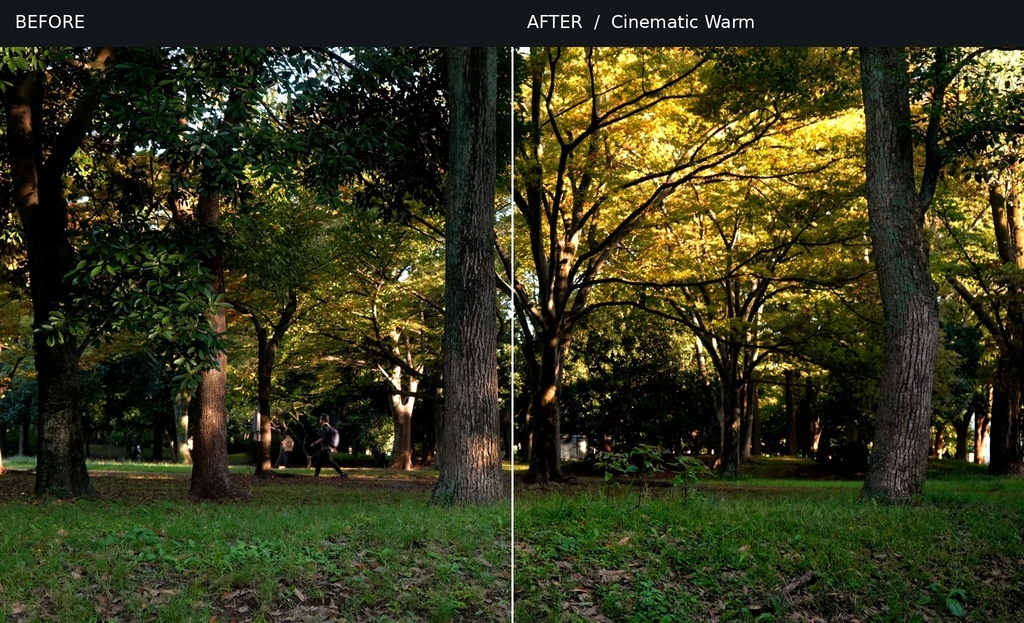 シネマティック動画用LUT 3種セット|Rec.709対応【Premiere Pro】