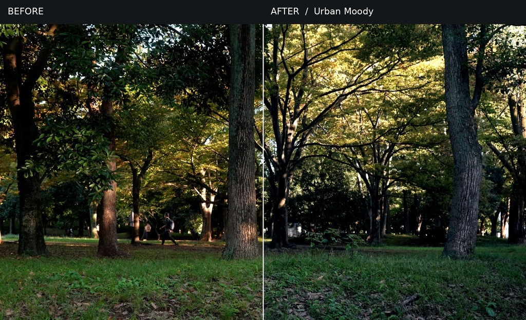 シネマティック動画用LUT 3種セット|Rec.709対応【Premiere Pro】