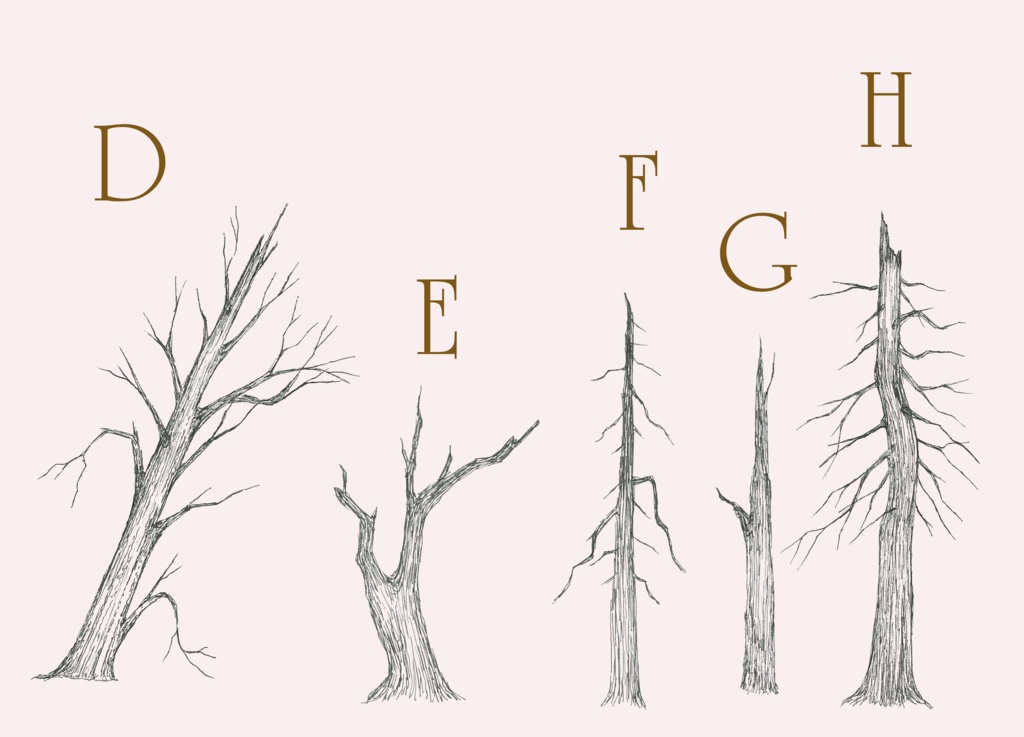 ペン画素材集~枯れちゃった木々~