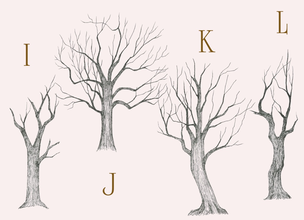 ペン画素材集~枯れちゃった木々~