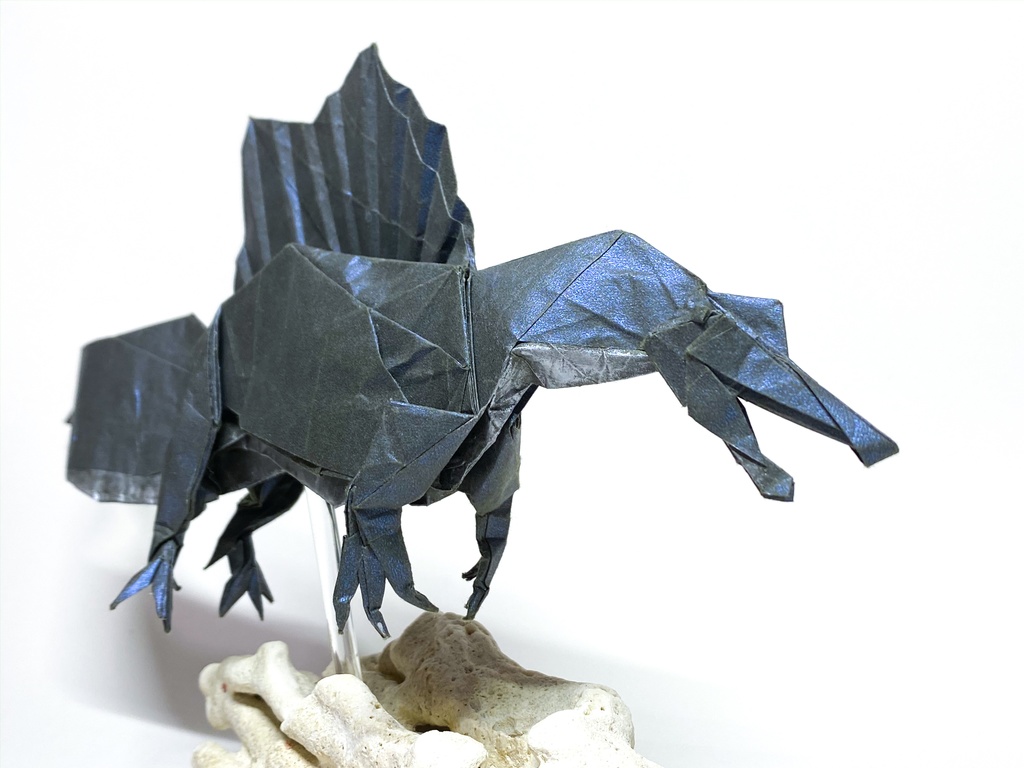 スピノサウルスの展開図