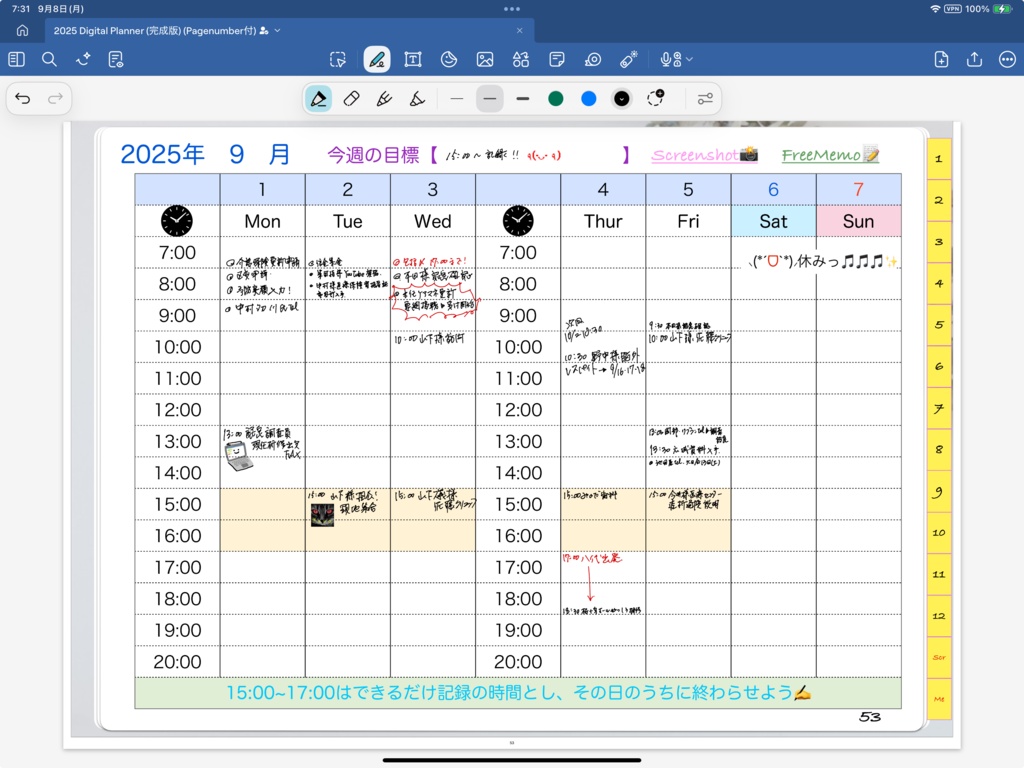 ケアマネ手描きデジタル手帳 2025(お試し版)