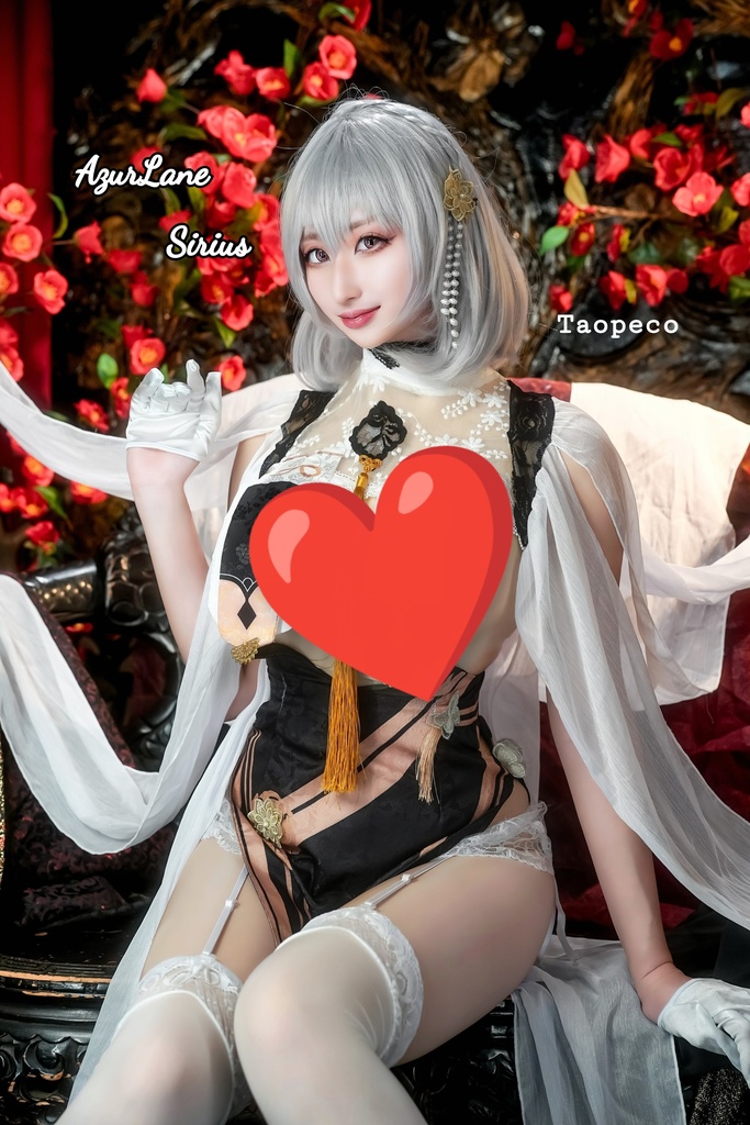 【C106頒布】アズールレーン/シリアスコスプレ写真集
