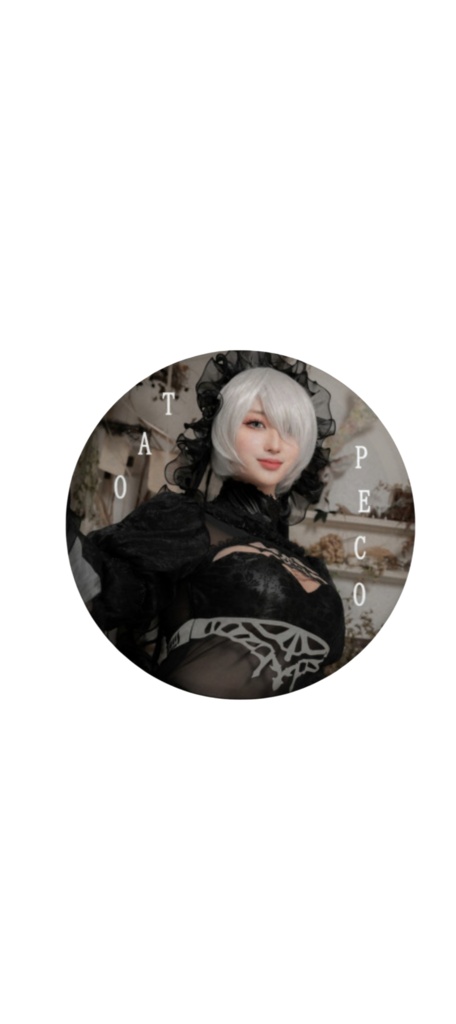 【コスコン(大阪)頒布】NieR:Automata/2B自爆コスプレ写真集