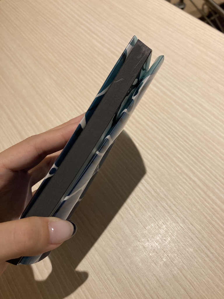 青春エッセイ「青い春を忘れない」