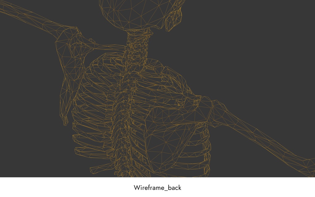 ローポリ人体モデル(Mixamoアニメーションガイド付き)