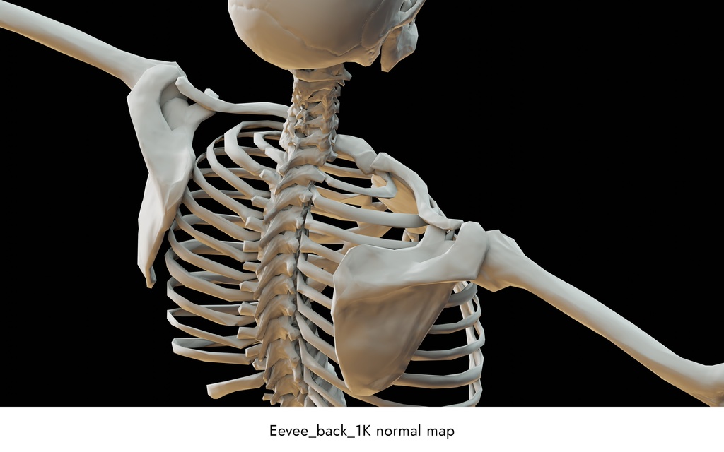 ローポリ人体モデル(Mixamoアニメーションガイド付き)