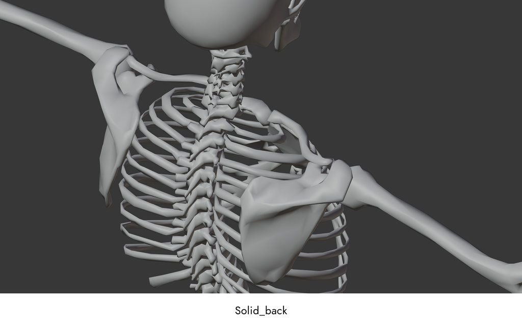 ローポリ人体モデル(Mixamoアニメーションガイド付き)