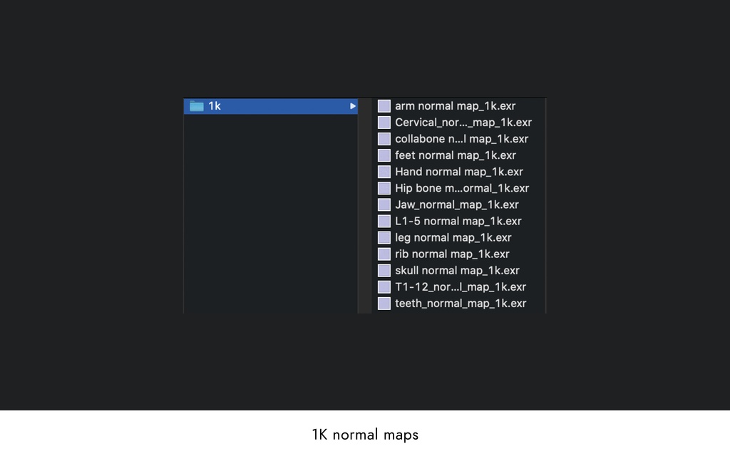 ローポリ人体モデル(Mixamoアニメーションガイド付き)