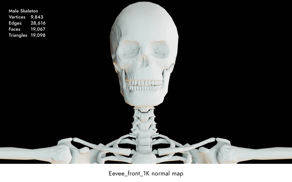 ローポリ人体モデル(Mixamoアニメーションガイド付き)