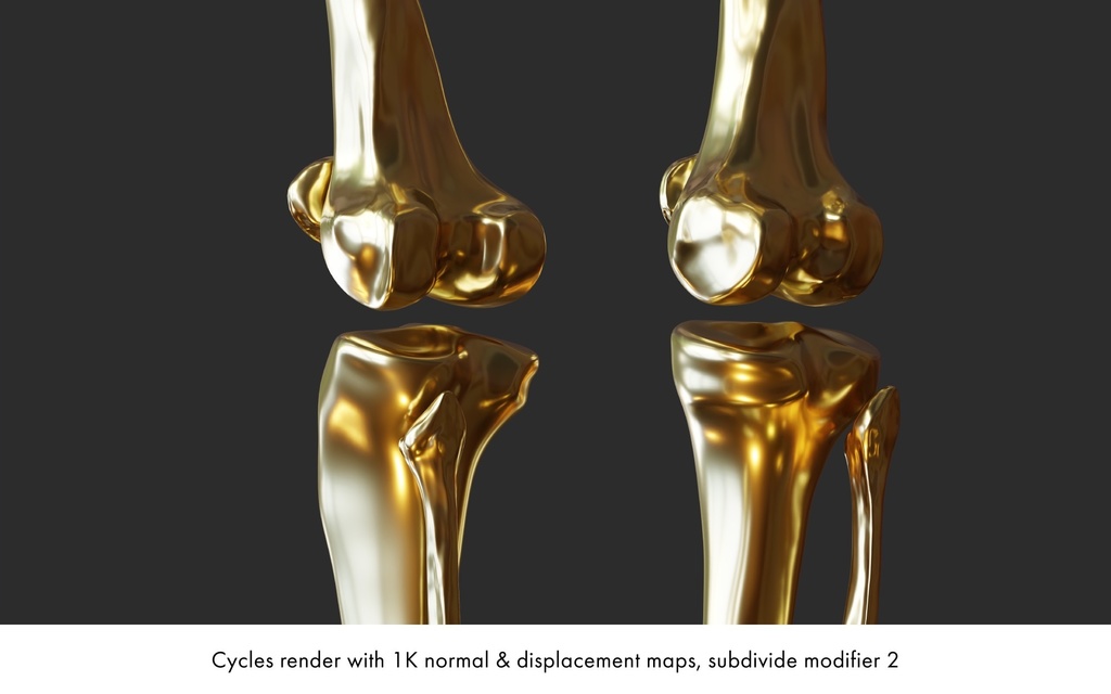 ハイポリ リグ付き人体骨格モデル(男女)