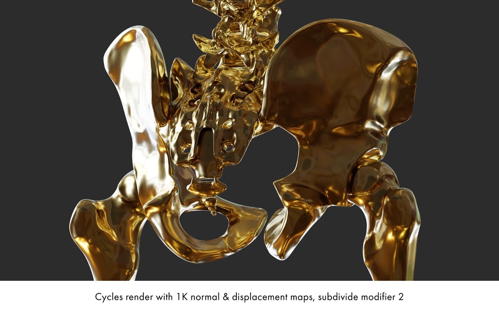 ハイポリ リグ付き人体骨格モデル(男女)