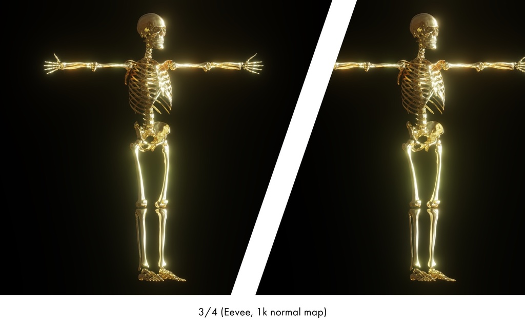 ハイポリ リグ付き人体骨格モデル(男女)