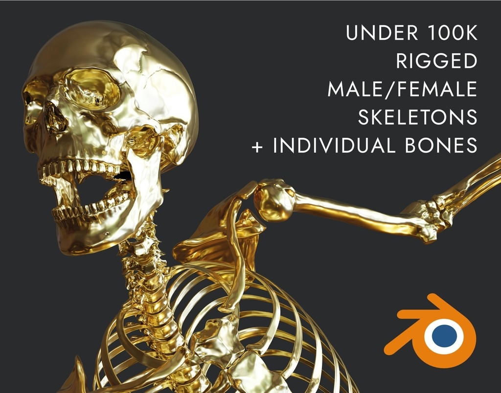 ハイポリ　リグ付き人体骨格モデル（男女）