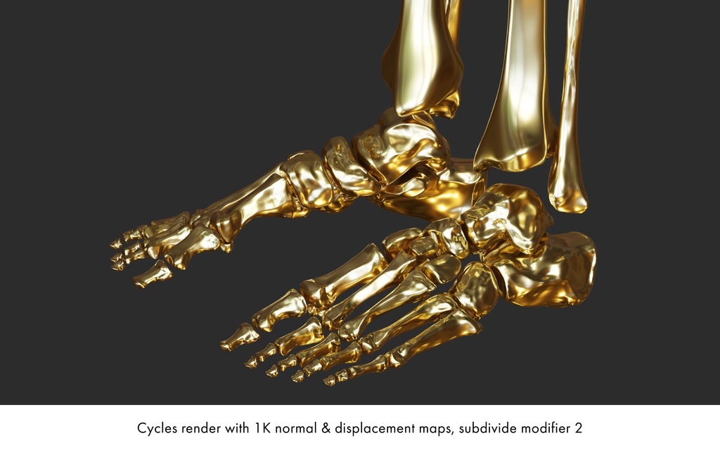 ハイポリ リグ付き人体骨格モデル(男女)