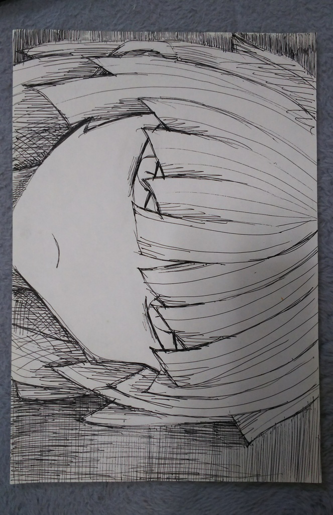 ボールペン画〔A〕