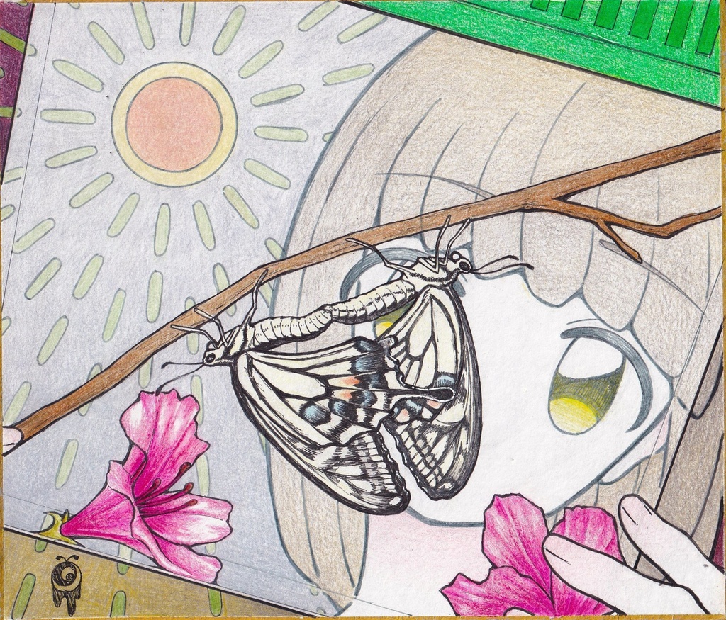 オリジナル色紙