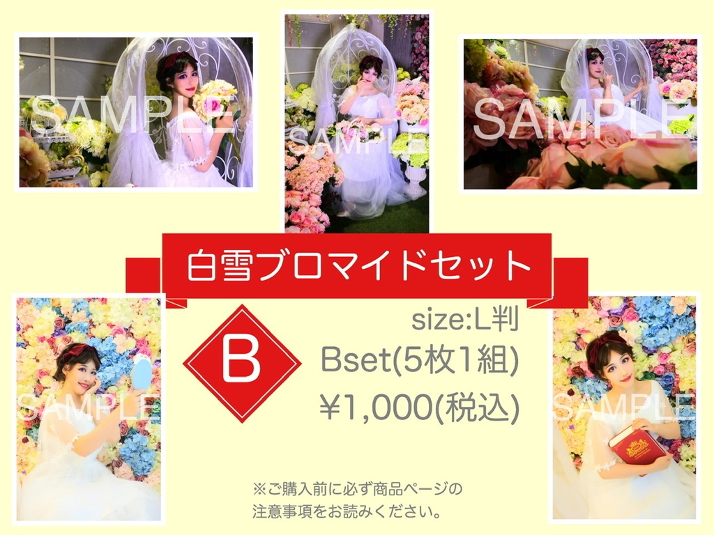 白雪ブロマイド Bセット