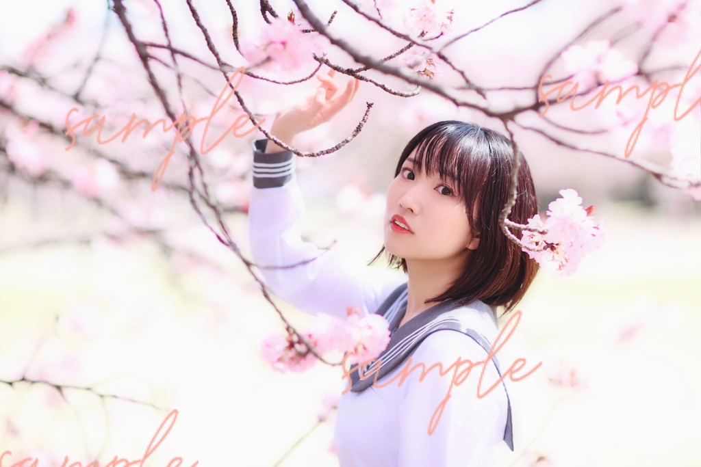 【A】データブロマイド【桜制服】