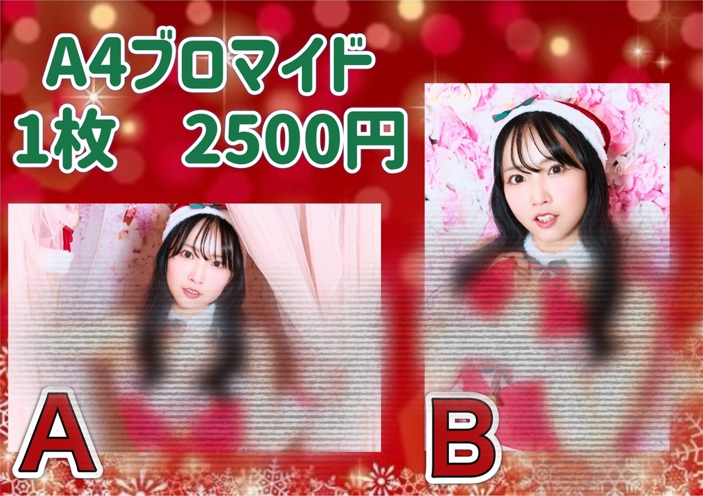 【A4サイズ】クリスマスブロマイド